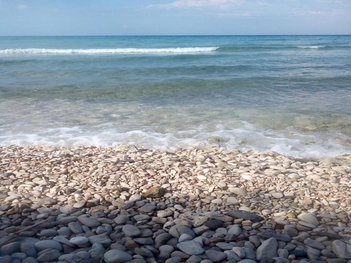Pelagion II Sea Coral - Beachfront Holiday Home Kypseli Dış mekan fotoğraf